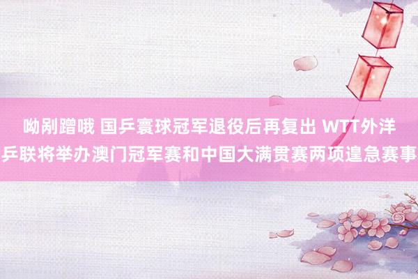 呦剐蹭哦 国乒寰球冠军退役后再复出 WTT外洋乒联将举办澳门冠军赛和中国大满贯赛两项遑急赛事
