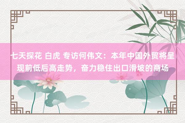 七天探花 白虎 专访何伟文：本年中国外贸将呈现前低后高走势，奋力稳住出口滑坡的商场