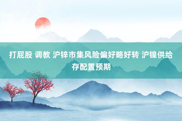 打屁股 调教 沪锌市集风险偏好略好转 沪镍供给存配置预期