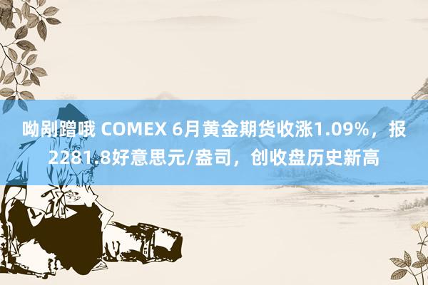 呦剐蹭哦 COMEX 6月黄金期货收涨1.09%，报2281.8好意思元/盎司，创收盘历史新高