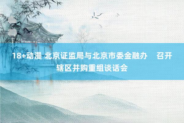 18+动漫 北京证监局与北京市委金融办    召开辖区并购重组谈话会