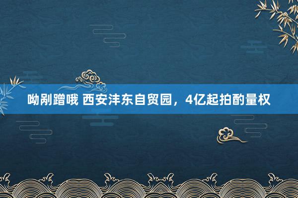 呦剐蹭哦 西安沣东自贸园，4亿起拍酌量权