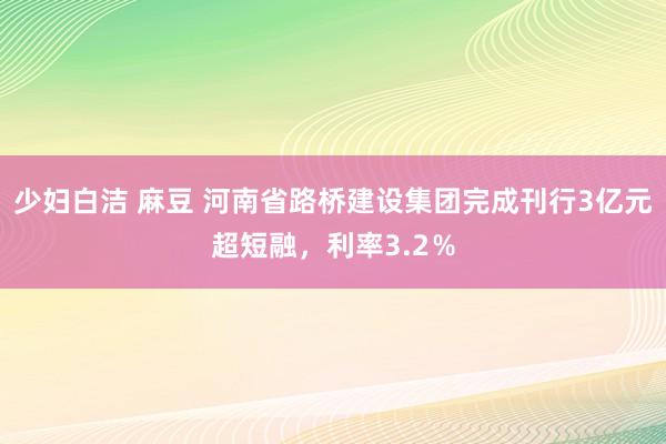少妇白洁 麻豆 河南省路桥建设集团完成刊行3亿元超短融，利率3.2％