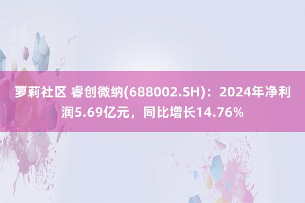 萝莉社区 睿创微纳(688002.SH)：2024年净利润5.69亿元，同比增长14.76%