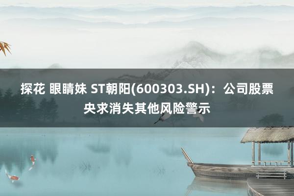 探花 眼睛妹 ST朝阳(600303.SH)：公司股票央求消失其他风险警示